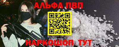 СК Бийск