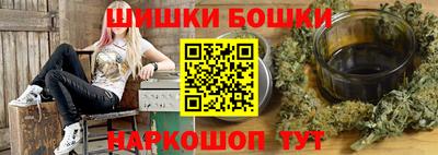 СК Бийск
