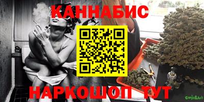 СК Бийск