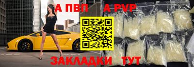 СК Бийск