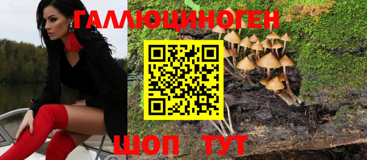 Псилоцибиновые грибы Psilocybine cubensis  Вход с VPN  Белая Калитва 