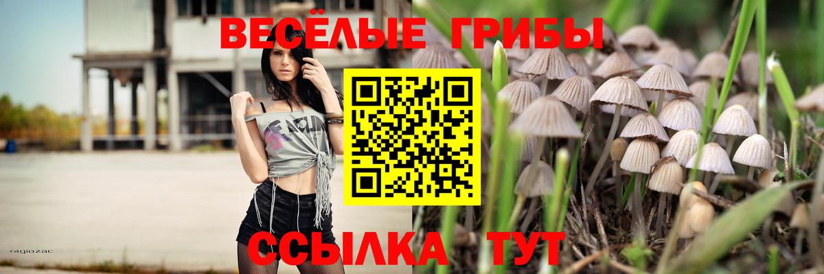 Галлюциногенные грибы GOLDEN TEACHER Белая Калитва